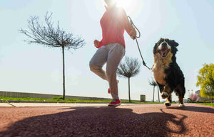 4 fun ways to exercise with your dog